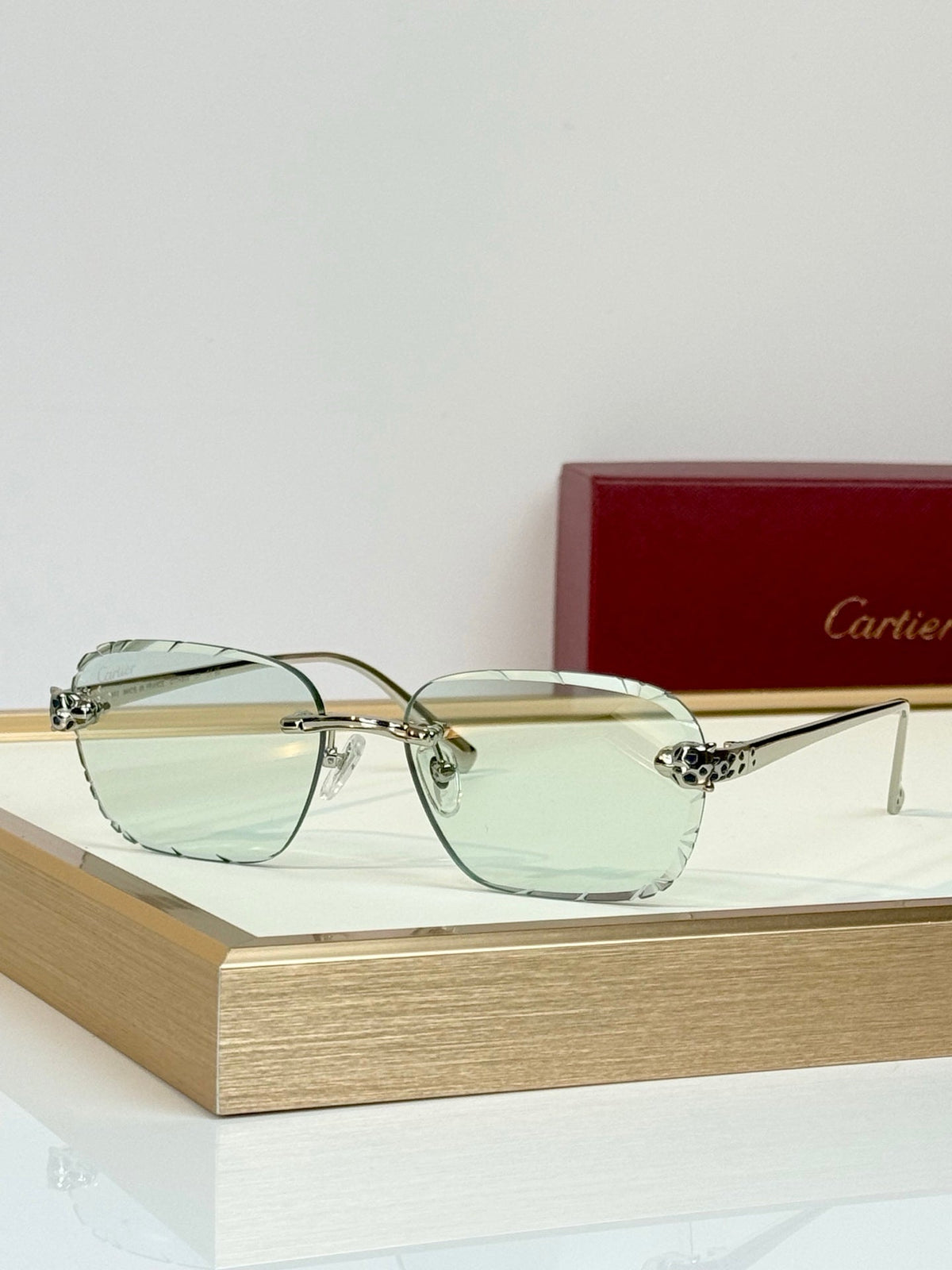 Cartier CT7450S Sunglasses